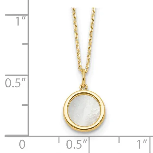 14K Gold Polished Mother of Pearl Circle Necklace