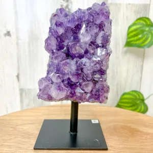 Druzy Amethyst Cluster on A Stand - #F