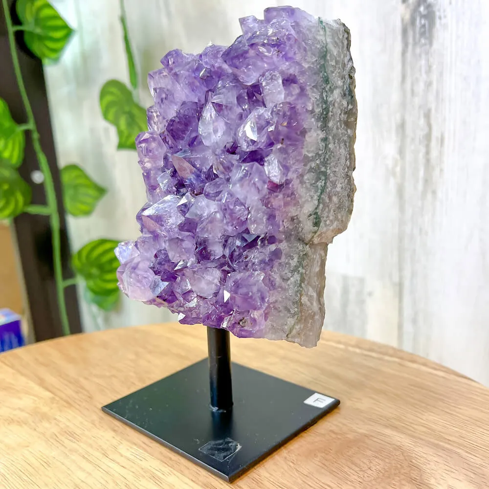 Druzy Amethyst Cluster on A Stand - #F