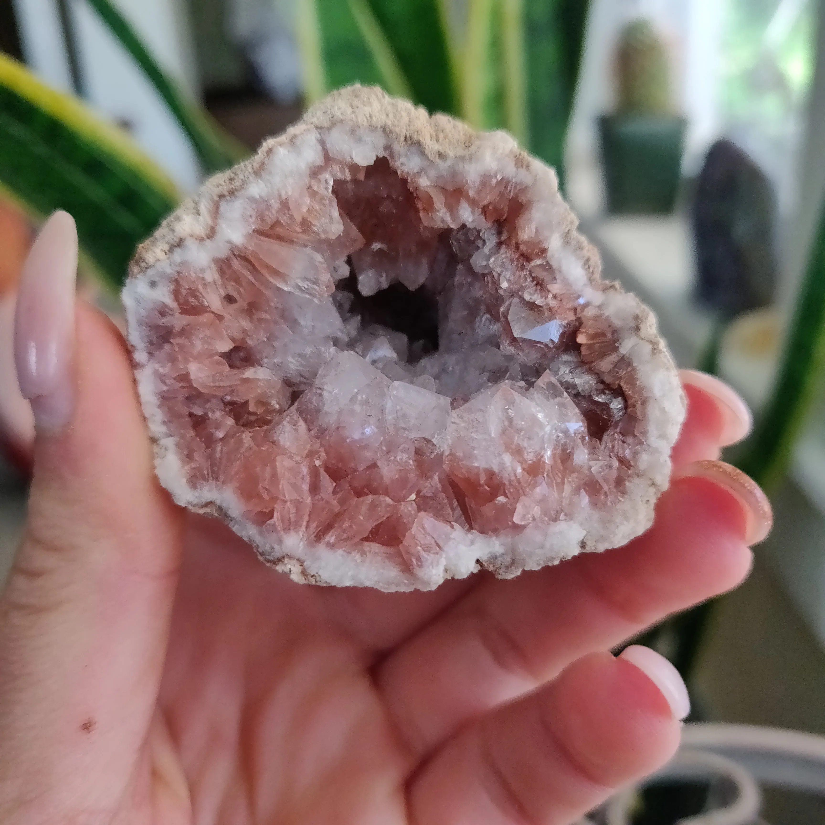 Pink Amethyst Geode (#1A)