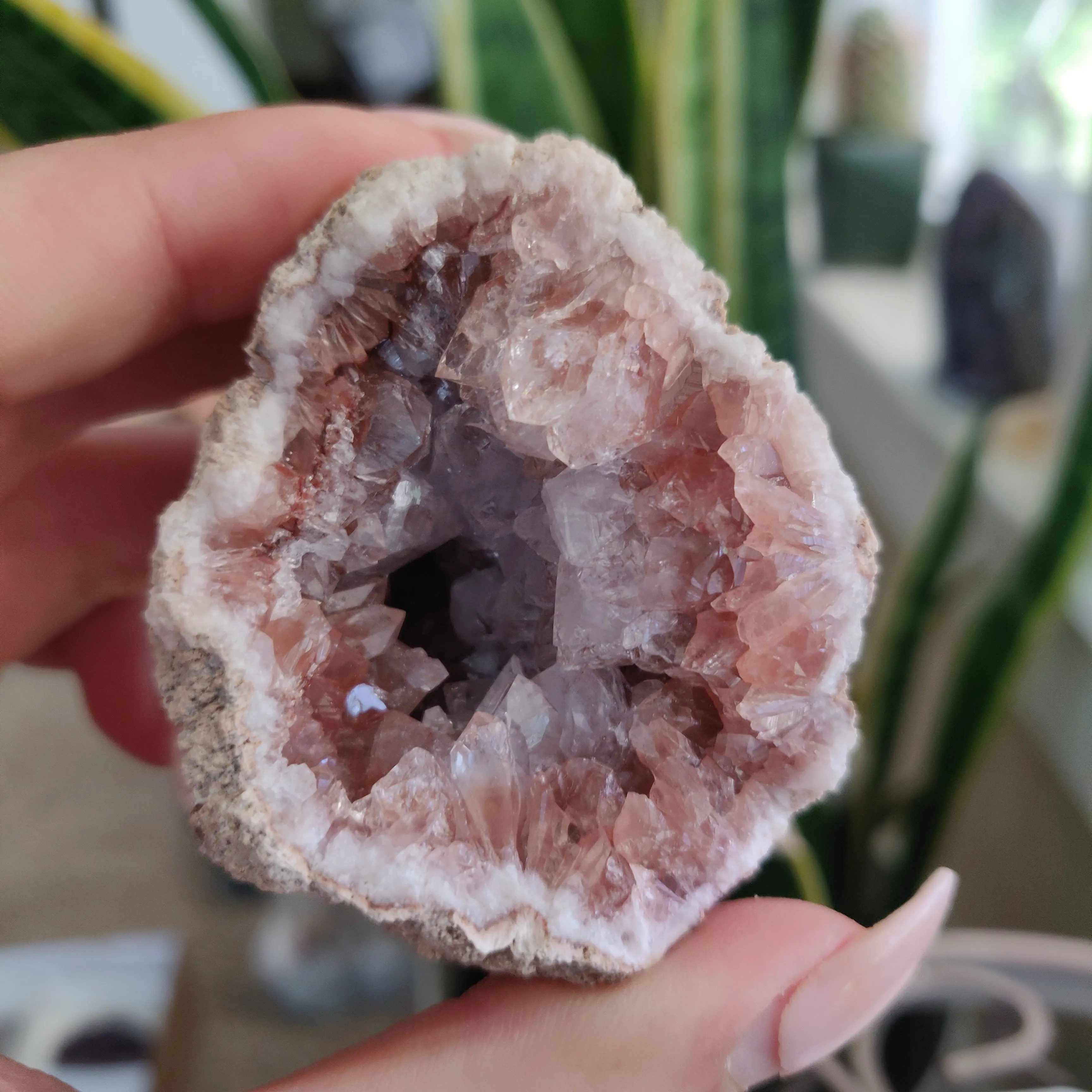 Pink Amethyst Geode (#1A)