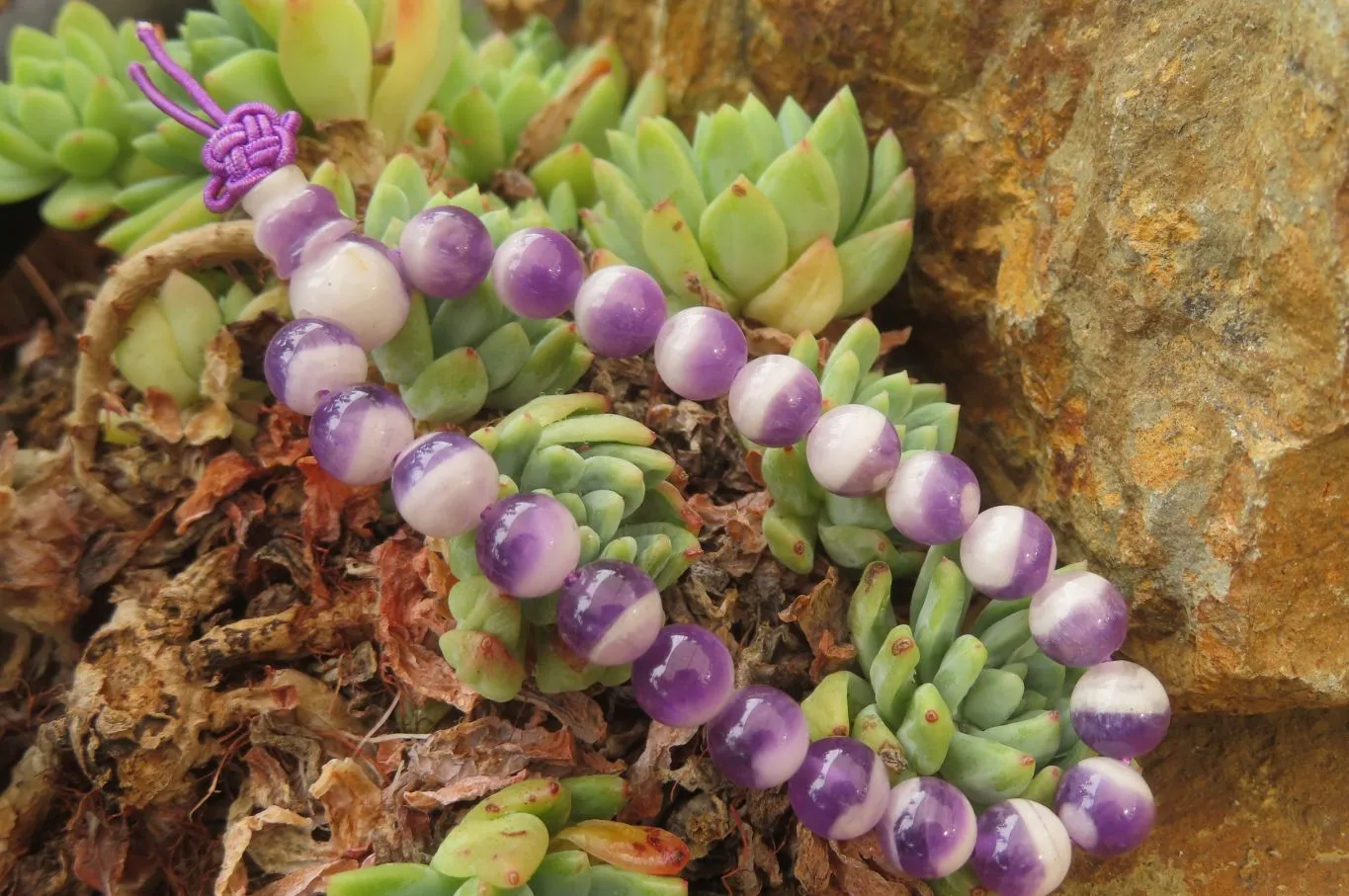 Polished Chevron Amethyst Bead Buddha Bracelets - Sold Per Item - From Zambia