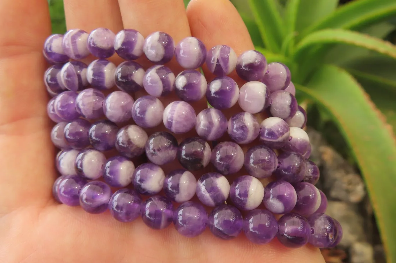 Polished Chevron Amethyst Bead Buddha Bracelets - Sold Per Item - From Zambia