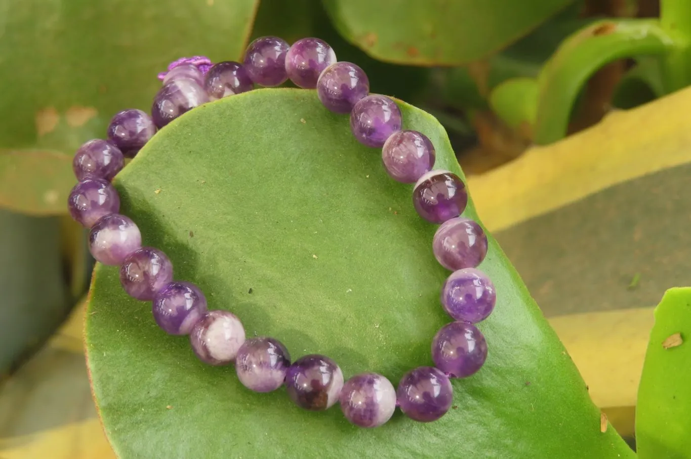 Polished Chevron Amethyst Bead Buddha Bracelets - Sold Per Item - From Zambia